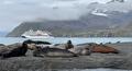 Presentatie Expeditie Cruises