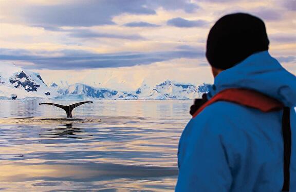 Grand expedition route: Antarctica met Hapag-Lloyd Cruises