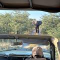 Het prachtige Namibië 