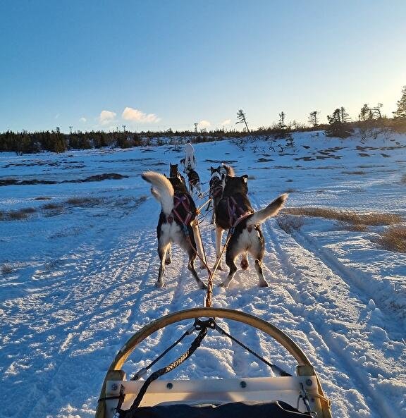 Wintersport in Noorwegen en Zweden met Joey