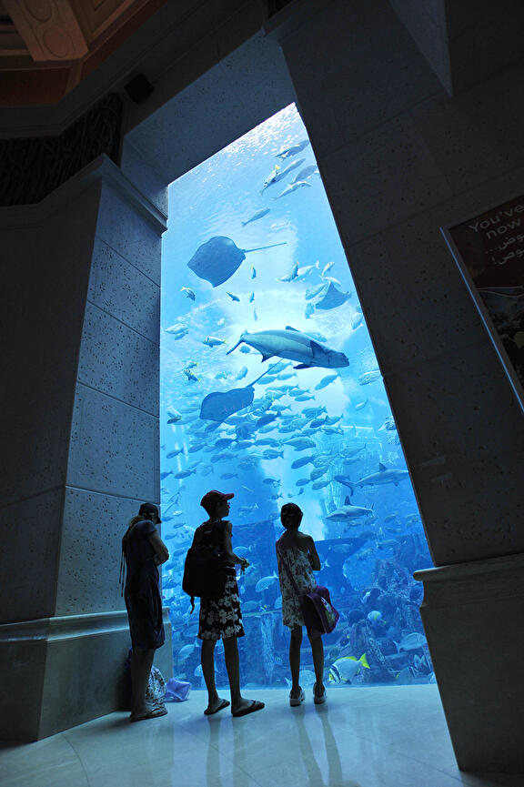 Aquarium Emiraten Cruise