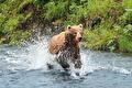 Expeditie Alaska: Inside Passage
