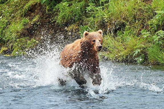 Expeditie Alaska: Inside Passage
