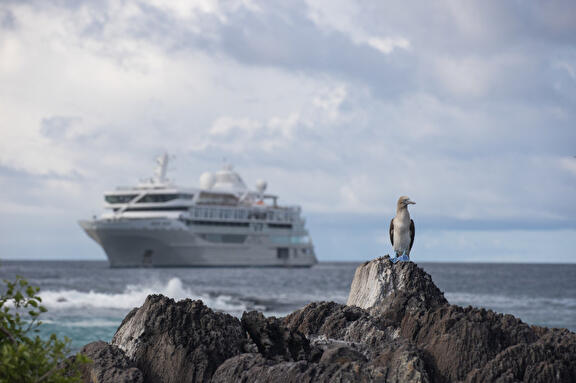 Een week op de Galápagos aan boord van de Silver Origin